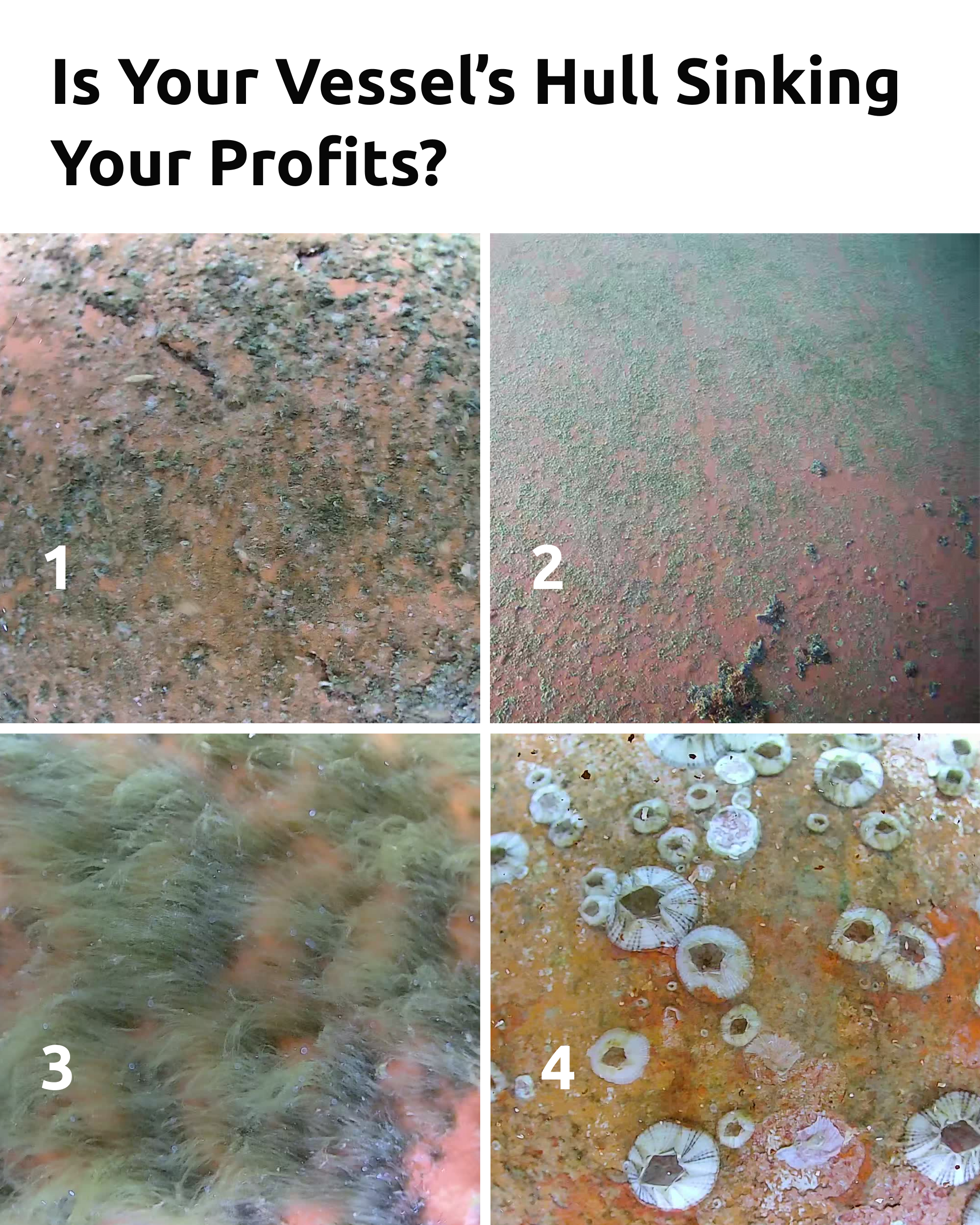 We're your go-to experts in robotic hull cleaning with advanced ROV and AI technology for boat vertical sides cleaning and flat bottom cleaning.