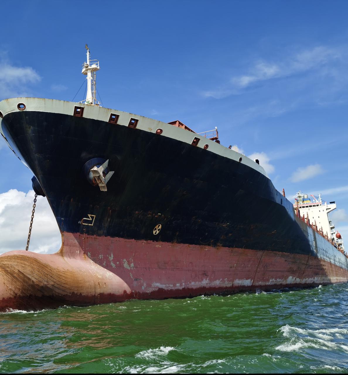 What IMO’s Push for a Carbon Tax Means for Shipowners
