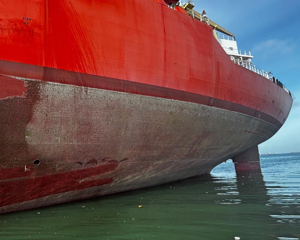 How Biofouling on the Bulbous Bow Triggers a Drag Cascade
